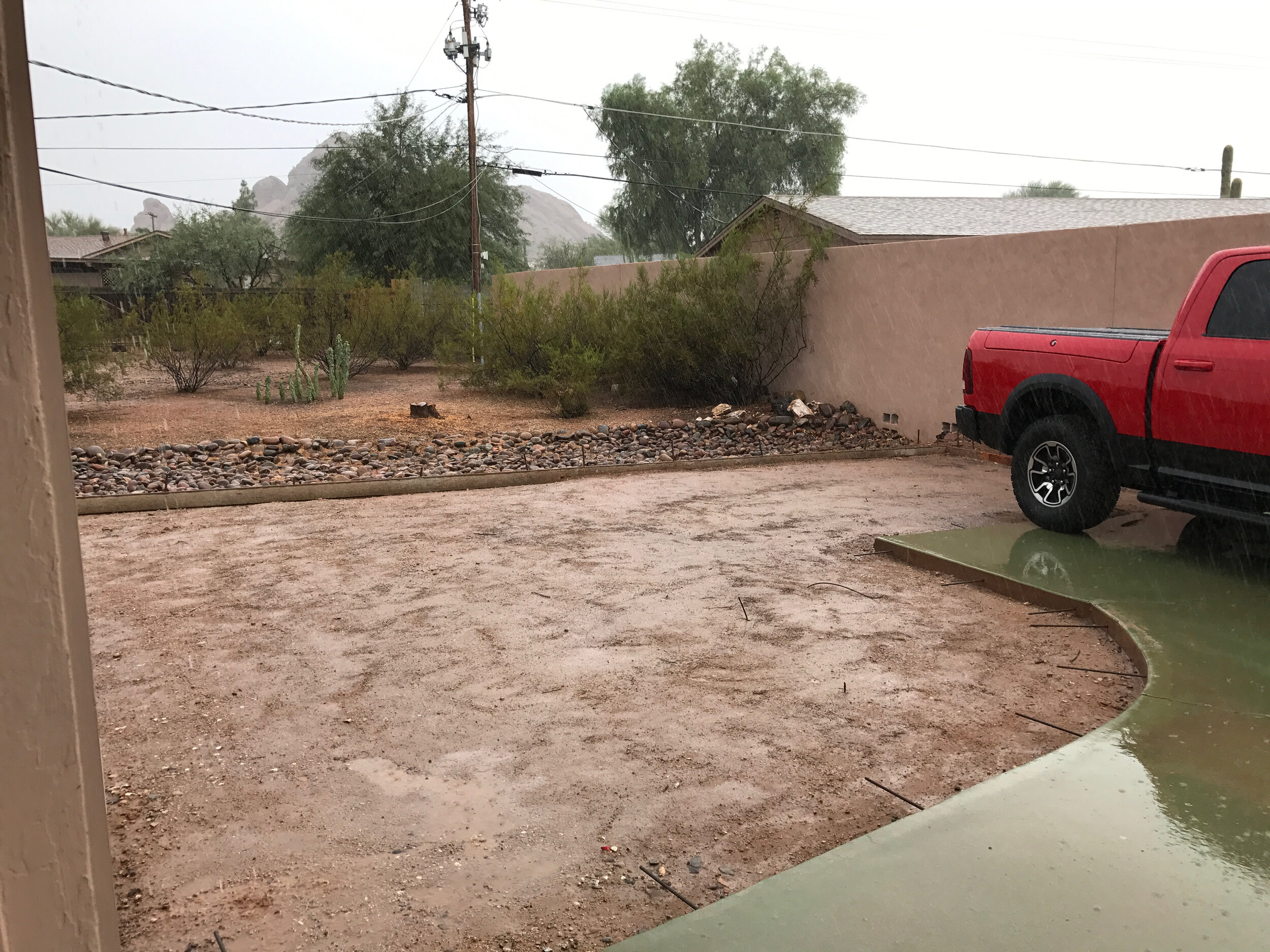 Of course it rained right after the bug killer went down